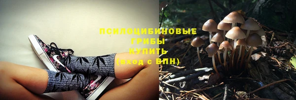 ГАЛЛЮЦИНОГЕННЫЕ ГРИБЫ Алексеевка