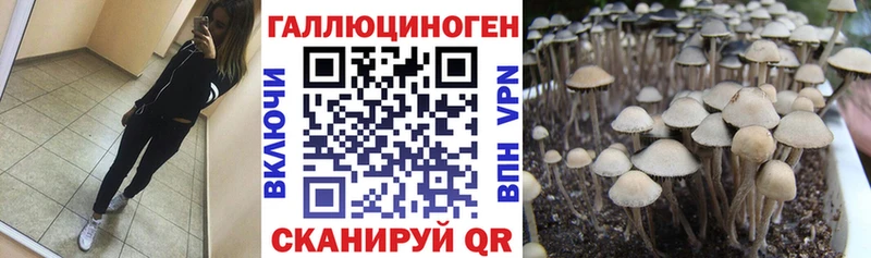 Псилоцибиновые грибы ЛСД  где купить наркоту  Чусовой 